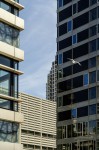 Den Haag